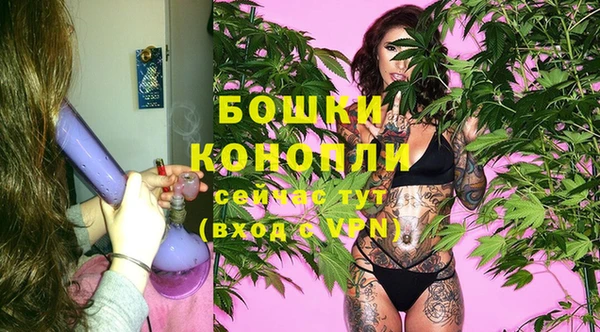 дурь Богданович