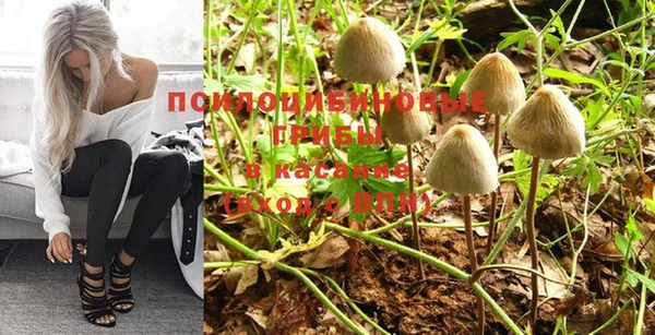 дурь Богданович