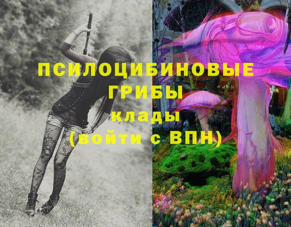 дурь Богданович