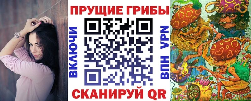 Псилоцибиновые грибы GOLDEN TEACHER  Долгопрудный 