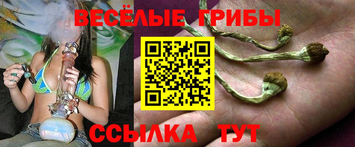 Долгопрудный  Галлюциногенные грибы GOLDEN TEACHER  Вход с VPN 