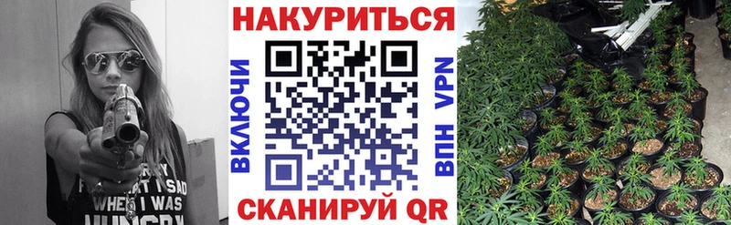 Конопля индика Долгопрудный